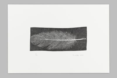 Feather - 2001
